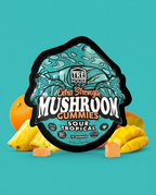 TRE House Mushroom Gummies | Sour Tropical