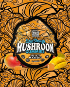 TRE House Mushroom Gummies | Mango
